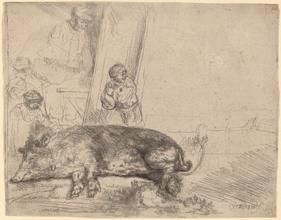 El cerdo de Rembrandt van Rijn