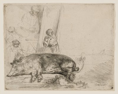 El Cerdo de Rembrandt van Rijn