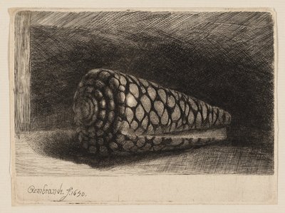 La concha de Rembrandt van Rijn