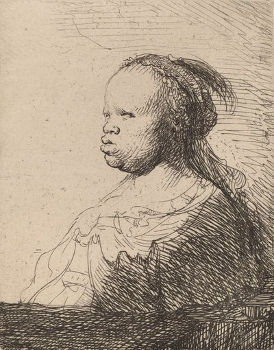 El blanco negro de Rembrandt van Rijn