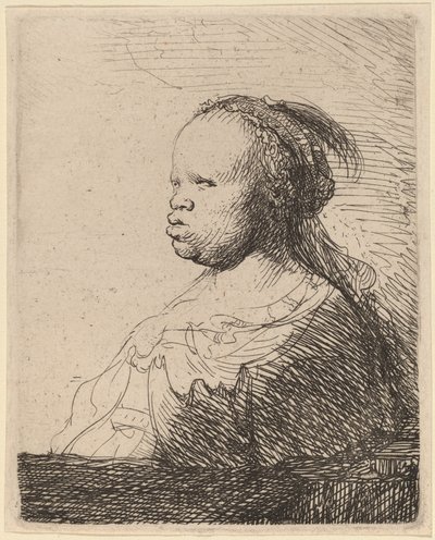La negra blanca de Rembrandt van Rijn