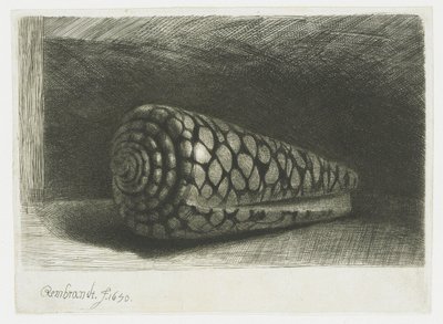 La cáscara de Rembrandt van Rijn