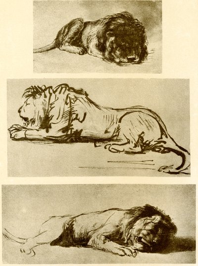 Tres estudios de leones de Rembrandt van Rijn