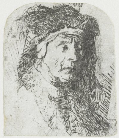 Mujer con manto de pieles
Busto de una anciana con un manto de pieles y un pesado tocado de Rembrandt van Rijn