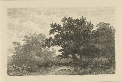árboles por un charco de Remigius Adrianus Haanen