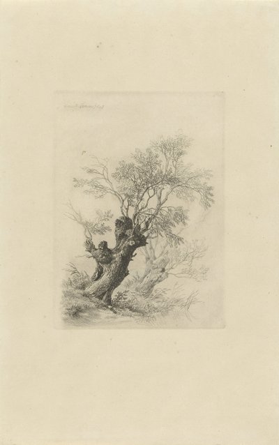 sauce de Remigius Adrianus Haanen