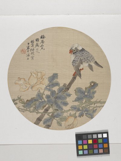 Flower And Bird (tinta y colores sobre papel) de Ren Yi (1840 96)