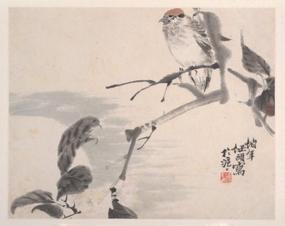 Animales, Flores y Aves, siglo XIX de Ren Yi