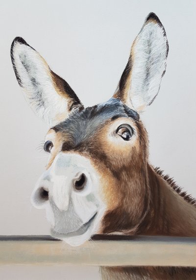 Burro Travieso de Renate Dohr