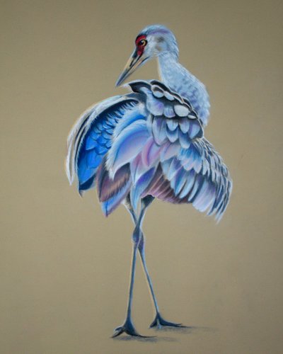 Grulla de Renate Dohr