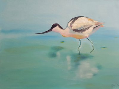 Avoceta de Renate Dohr