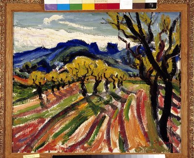 Campo de olivos en los Alpilles (óleo sobre lienzo) de Rene Auguste Seyssaud