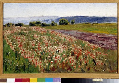 El campo de amapolas (pintura) de Rene Auguste Seyssaud