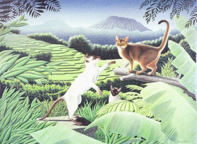 Bali, 2002, Dibujo a lápiz de color sobre papel de Rene Boin