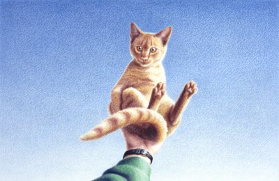 Handfull de Rene Boin