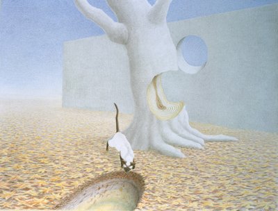 Agujeros de Rene Boin