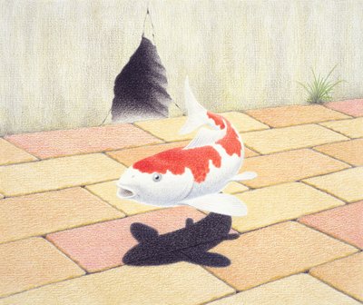Koi de Rene Boin