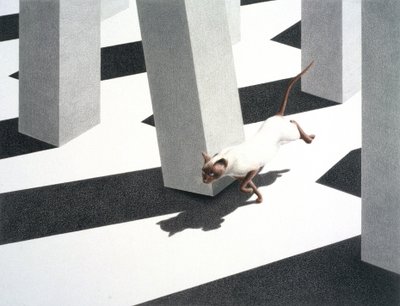 Ejecutar de Rene Boin