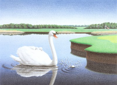 Salpicaduras de Rene Boin
