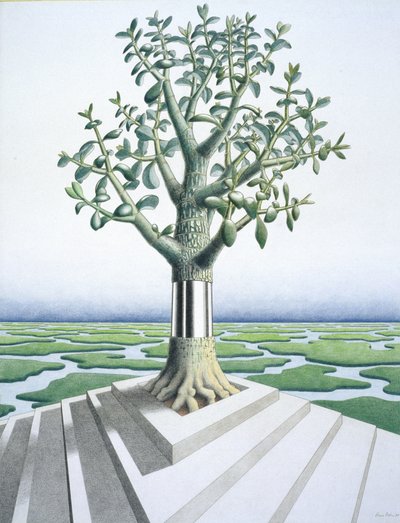 Suculentas de Rene Boin