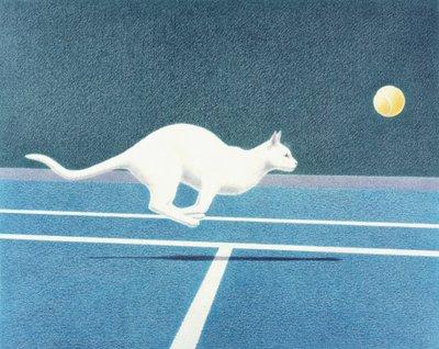 Tenis de Rene Boin