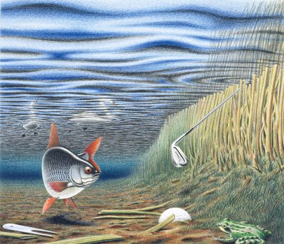 Peligro para el agua de Rene Boin