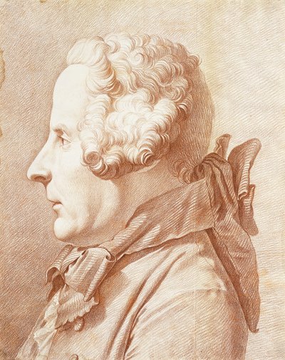 Retrato de Monsieur Hertault de Lienay, de Perfil, girado a la Izquierda de Rene Michel Slodtz