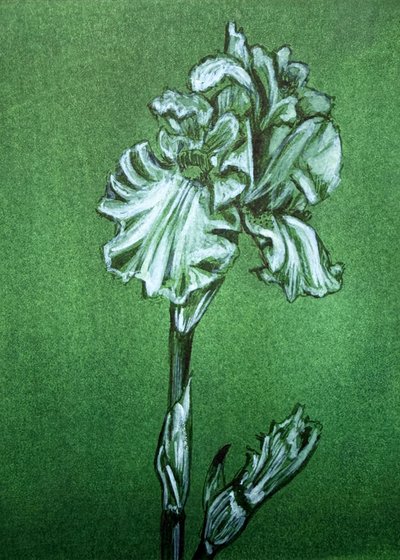 Elegante iris verde de Renee Machan Cottagecore Artist