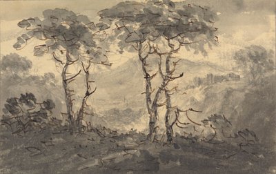 Abetos en un paisaje de montaña de Rev. William Gilpin