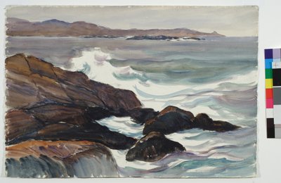 Punta del Halibut de Reynolds Beal
