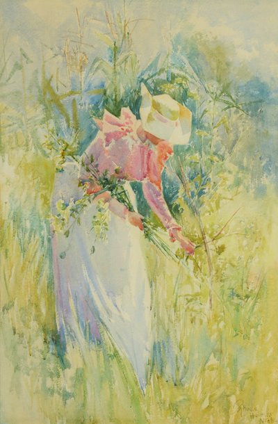 Recogiendo flores silvestres 1900 (Acuarela sobre papel) de Rhoda Holmes Nicholls