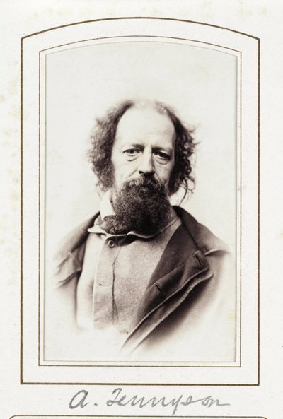 Un Tennyson, c. 1864 de John Pardon