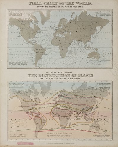 Un gráfico de mareas y un mapa de la distribución de plantas en el mundo, c 1850 de John Pardon