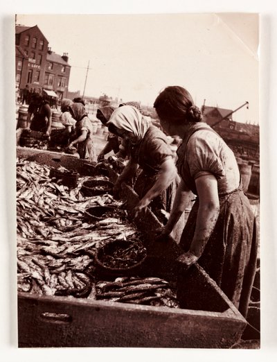 Pesca, mujeres pescadoras clasificando pescado, puerto de Whitby, North Yorkshire, c. 1905 de John Pardon