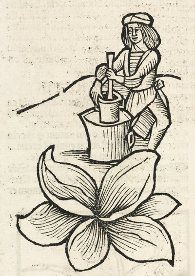 Hombre medieval usando un mortero para triturar plantas de John Pardon