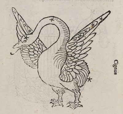 La constelación de Cisne de John Pardon