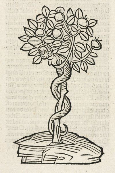 La serpiente en el árbol del conocimiento de John Pardon