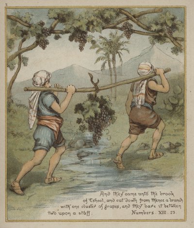 Un racimo de uvas de Escol de Richard Andre