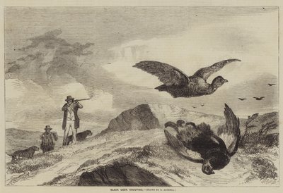 Caza de gallo negro de Richard Ansdell