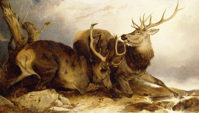 El Combate, 1847 de Richard Ansdell