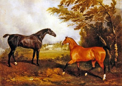 Escena ecuestre de Richard Barrett Davis