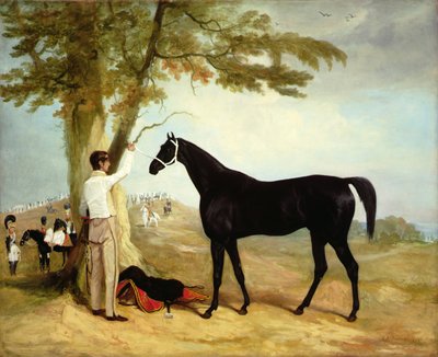 El cargador "Príncipe Negro" de Thomas Cosby con las tropas de la Guardia Real Más Allá de Richard Barrett Davis
