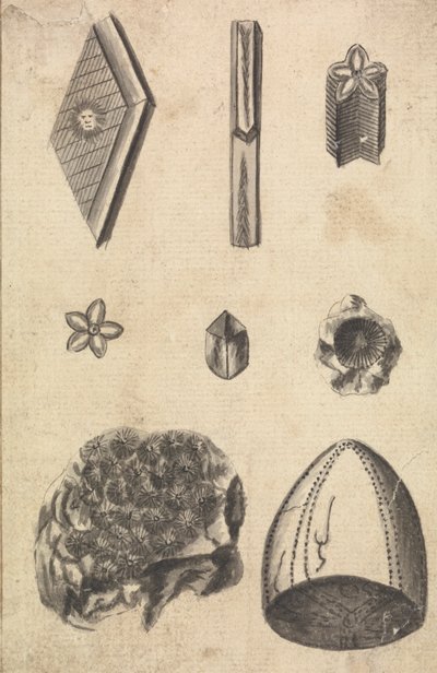Cristales y fósiles de Richard Brookes