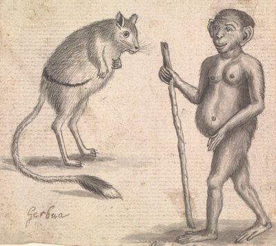 Monos (uno de tres en una montura) de Richard Brookes
