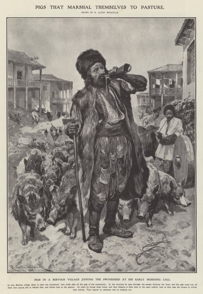 Cerdos que se dirigen al pasto de Richard Caton II (after) Woodville