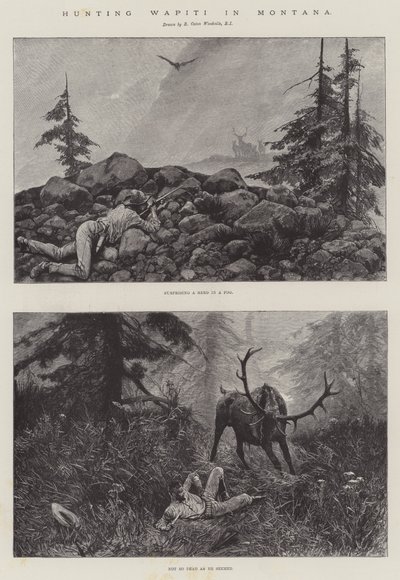 Caza de Wapiti en Montana de Richard Caton Woodville junior