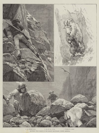 Caza de cabras salvajes en las Montañas Rocosas, América del Norte de Richard Caton Woodville junior