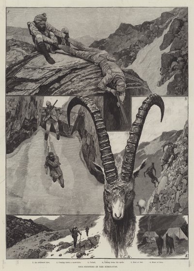 Caza de Íbex en el Himalaya de Richard Caton Woodville junior
