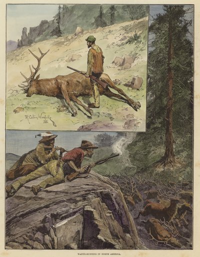 Caza de wapiti en América del Norte de Richard Caton Woodville junior