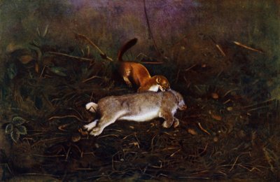 El armiño (foto) de Richard and Cherry Kearton